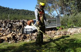 Sebeflo Elagage Abattage Débroussaillement à  Aubagne Roquevaire Lambesc
