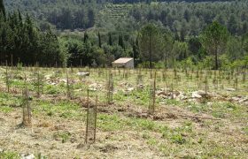 Sebeflo Elagage Abattage Débroussaillement à Aubagne Roquevaire Lambesc