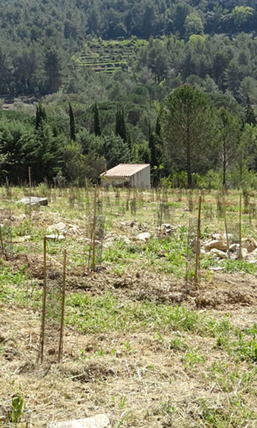 Sebeflo Elagage Abattage Débroussaillement à Aubagne Roquevaire Lambesc